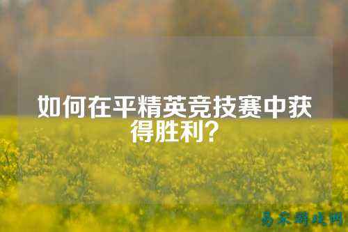 如何在平精英竞技赛中获得胜利？