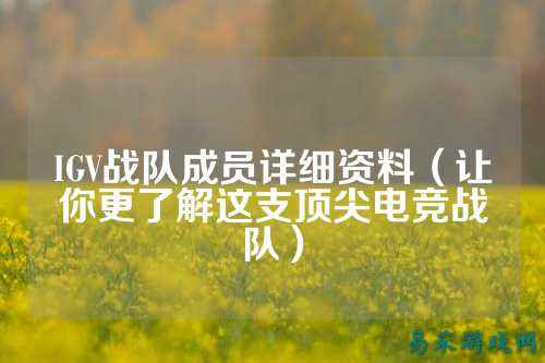 IGV战队成员详细资料（让你更了解这支顶尖电竞战队）