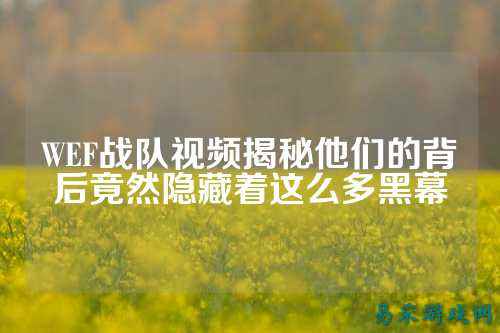 WEF战队视频揭秘他们的背后竟然隐藏着这么多黑幕