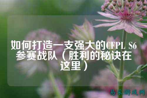 如何打造一支强大的CFPL S6参赛战队（胜利的秘诀在这里）