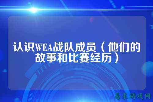 认识WEA战队成员（他们的故事和比赛经历）
