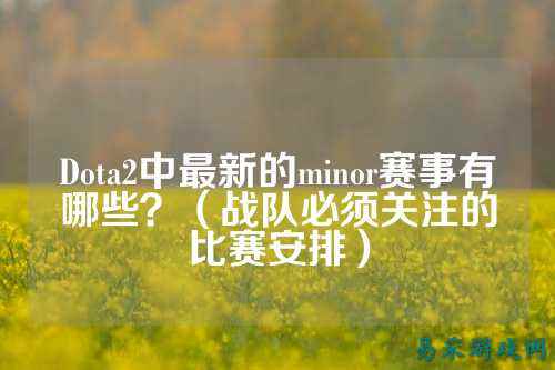Dota2中最新的minor赛事有哪些?(战队必须关注的比赛安排)