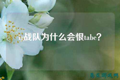 ig战队为什么会恨tabe？
