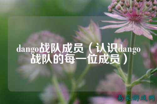 dango战队成员（认识dango战队的每一位成员）