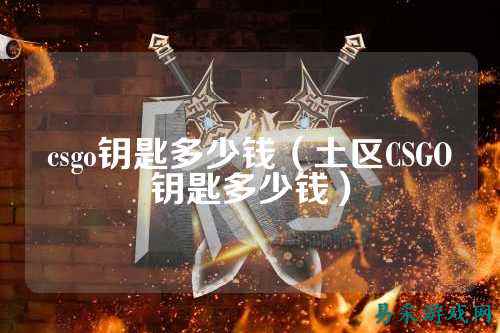csgo钥匙多少钱(土区CSGO钥匙多少钱)