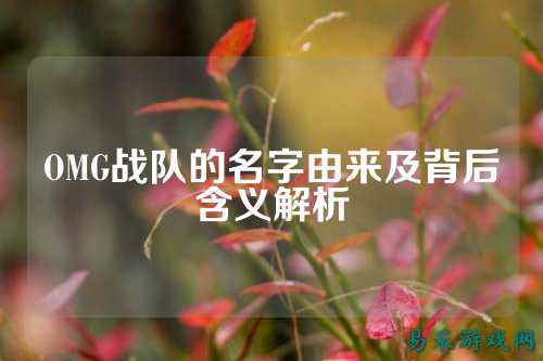 OMG战队的名字由来及背后含义解析