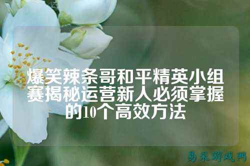 爆笑辣条哥和平精英小组赛揭秘运营新人必须掌握的10个高效方法