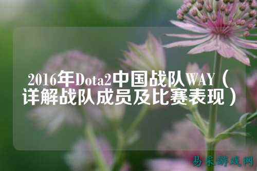 2016年Dota2中国战队WAY（详解战队成员及比赛表现）