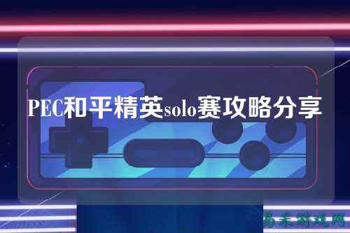 PEC和平精英solo赛攻略分享