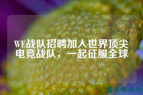 WE战队招聘加入世界顶尖电竞战队，一起征服全球