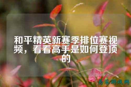和平精英新赛季排位赛视频,看看高手是如何登顶的