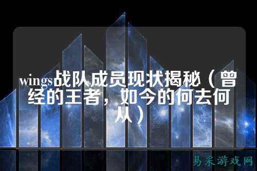 wings战队成员现状揭秘（曾经的王者，如今的何去何从）