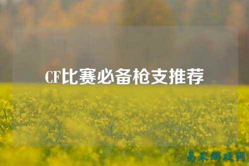 CF比赛必备枪支推荐