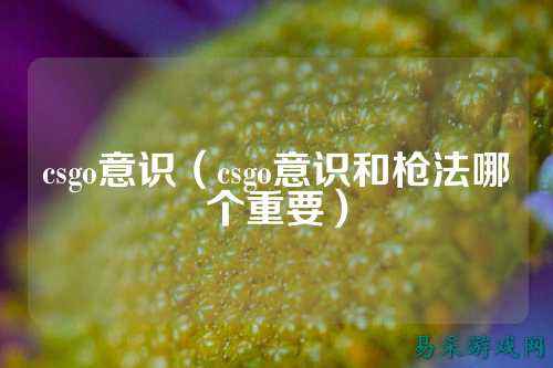 csgo意识（csgo意识和枪法哪个重要）