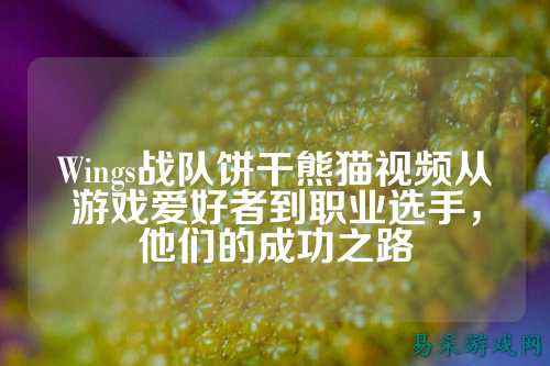 Wings战队饼干熊猫视频从游戏爱好者到职业选手，他们的成功之路
