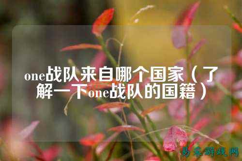 one战队来自哪个国家（了解一下one战队的国籍）