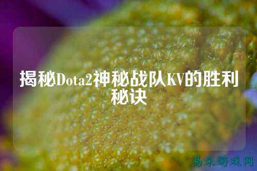揭秘Dota2神秘战队KV的胜利秘诀