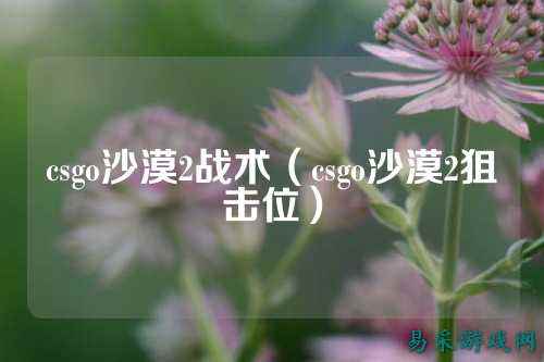 csgo沙漠2战术（csgo沙漠2狙击位）