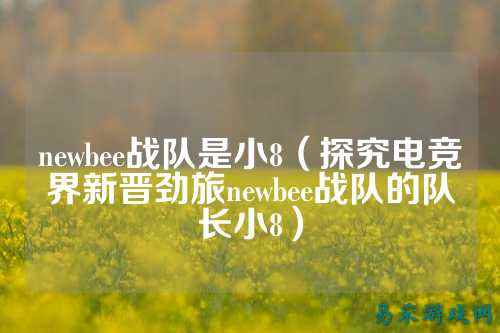 newbee战队是小8（探究电竞界新晋劲旅newbee战队的队长小8）
