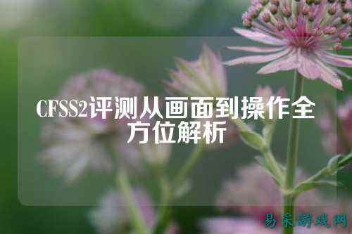 CFSS2评测从画面到操作全方位解析