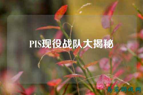 PIS现役战队大揭秘