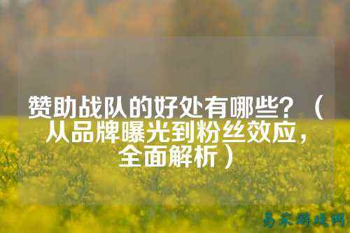 赞助战队的好处有哪些？（从品牌曝光到粉丝效应，全面解析）