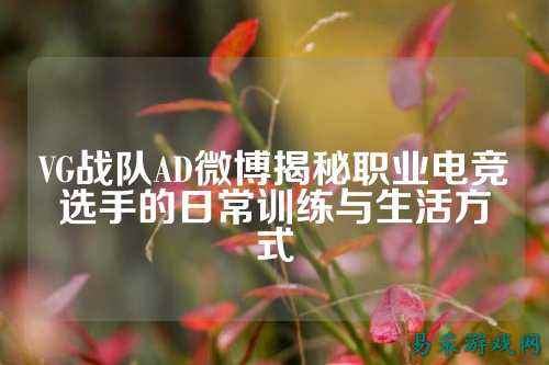 VG战队AD微博揭秘职业电竞选手的日常训练与生活方式