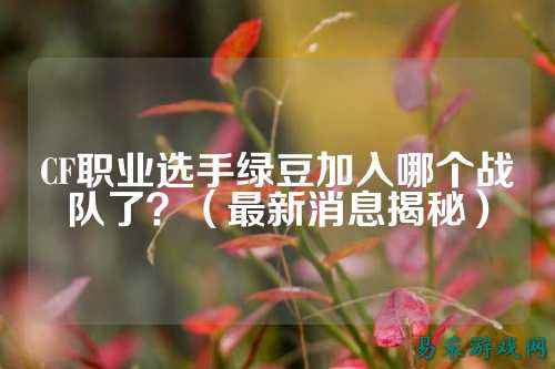 CF职业选手绿豆加入哪个战队了？（最新消息揭秘）