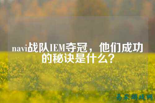 navi战队IEM夺冠，他们成功的秘诀是什么？