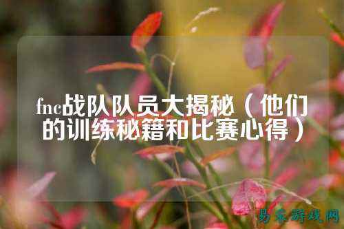 fnc战队队员大揭秘（他们的训练秘籍和比赛心得）