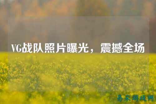 VG战队照片曝光，震撼全场