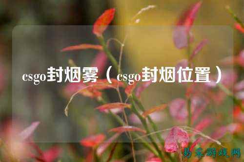 csgo封烟雾(csgo封烟位置)