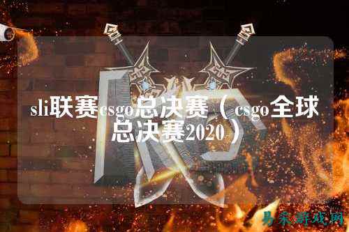 sli联赛csgo总决赛（csgo全球总决赛2020）