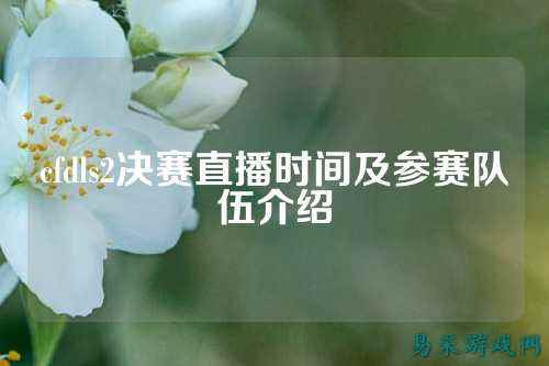 cfdls2决赛直播时间及参赛队伍介绍