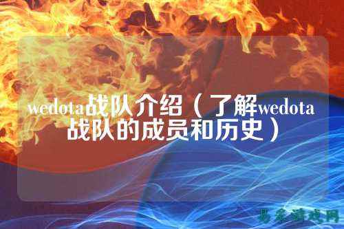 wedota战队介绍（了解wedota战队的成员和历史）