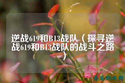 逆战619和B13战队（探寻逆战619和B13战队的战斗之路）