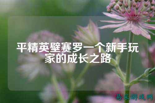 平精英壁赛罗一个新手玩家的成长之路