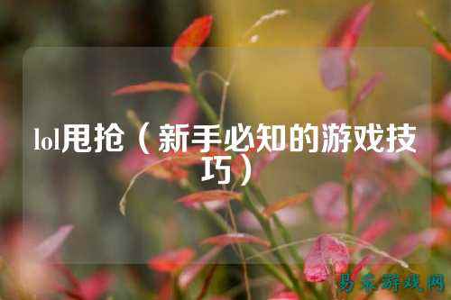 lol甩抢(新手必知的游戏技巧)