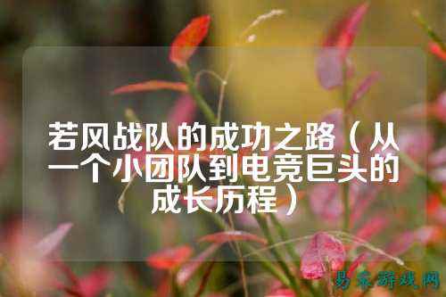 若风战队的成功之路（从一个小团队到电竞巨头的成长历程）