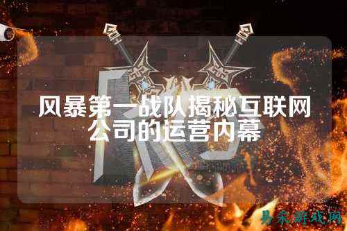 风暴第一战队揭秘互联网公司的运营内幕