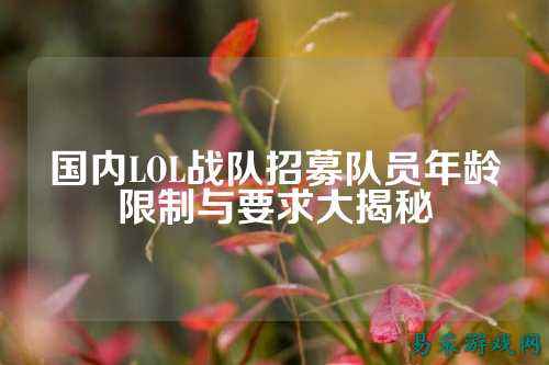 国内LOL战队招募队员年龄限制与要求大揭秘