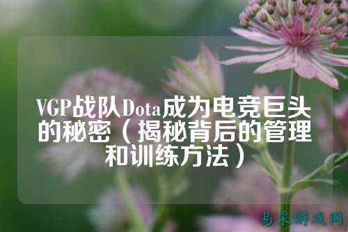 VGP战队Dota成为电竞巨头的秘密（揭秘背后的管理和训练方法）