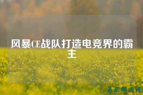 风暴CE战队打造电竞界的霸主