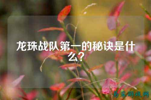 龙珠战队第一的秘诀是什么？