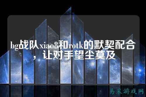 bg战队xiao8和rotk的默契配合，让对手望尘莫及