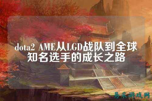 dota2 AME从LGD战队到全球知名选手的成长之路