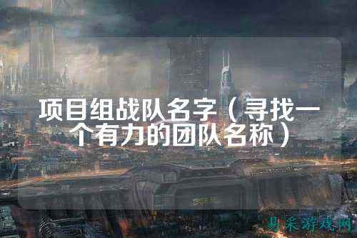 项目组战队名字（寻找一个有力的团队名称）
