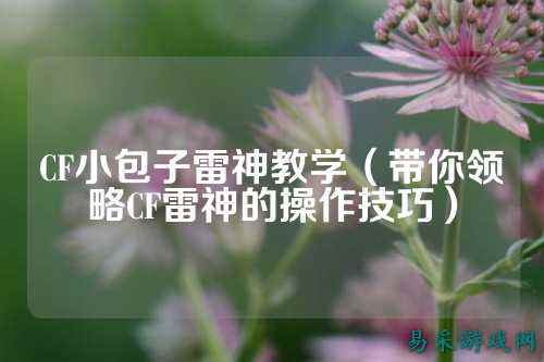 CF小包子雷神教学（带你领略CF雷神的操作技巧）