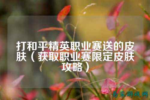 打和平精英职业赛送的皮肤（获取职业赛限定皮肤攻略）