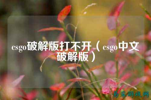 csgo破解版打不开(csgo中文破解版)